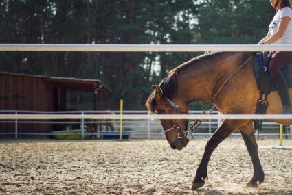 equitherapie